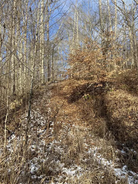 6947 Ky-541, Jackson, KY 41339 photo 26