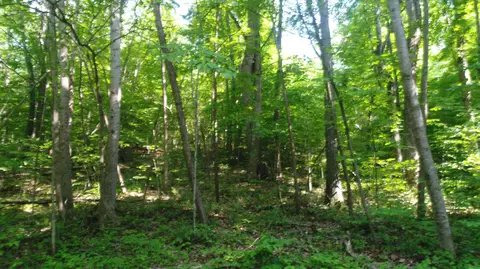 388 Castle St, Monticello, KY 42633