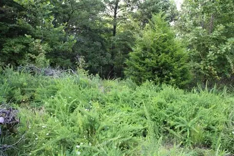 3149 Kidd Rd, Williamsburg, KY 40769 photo 9