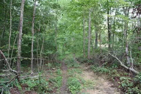3149 Kidd Rd, Williamsburg, KY 40769 photo 2