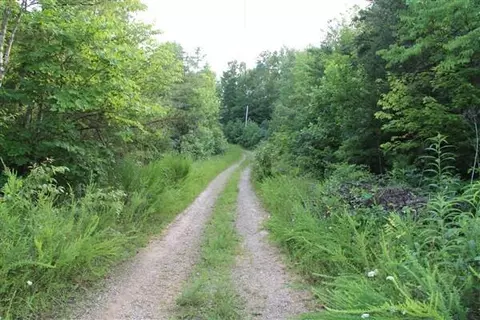 3149 Kidd Rd, Williamsburg, KY 40769 photo 10
