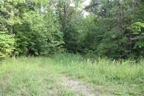 3149 Kidd Rd, Williamsburg, KY 40769 photo 6