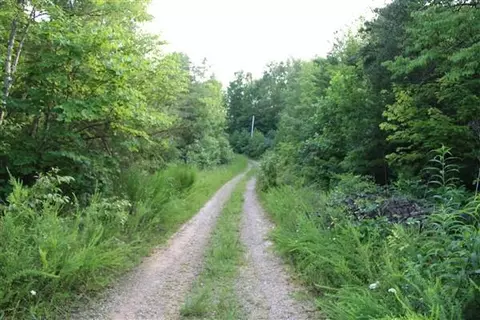 3149 Kidd Rd, Williamsburg, KY 40769