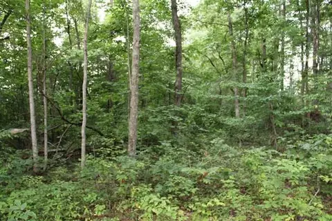 3149 Kidd Rd, Williamsburg, KY 40769 photo 13