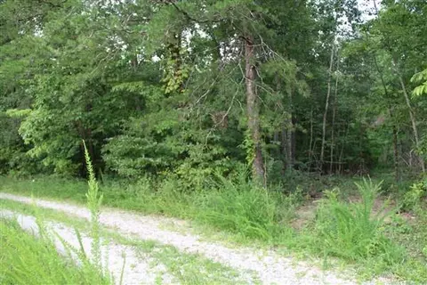 3149 Kidd Rd, Williamsburg, KY 40769 photo 8