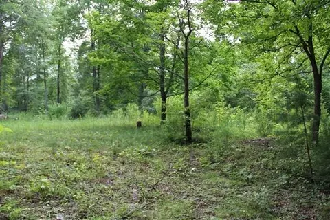 3149 Kidd Rd, Williamsburg, KY 40769 photo 7
