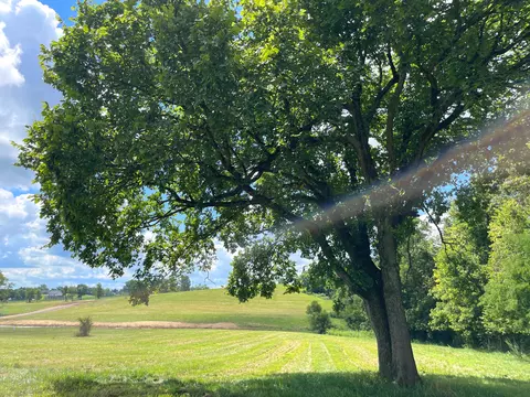 724 Switzer Pike, Cynthiana, KY 41031