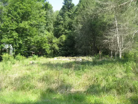 801 Collins Gibson Rd, Manchester, KY 40962