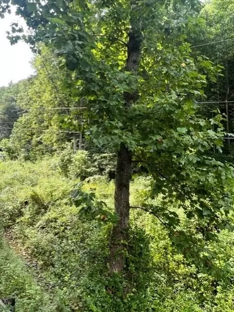 00 Ousley Br, Prestonsburg, KY 41653