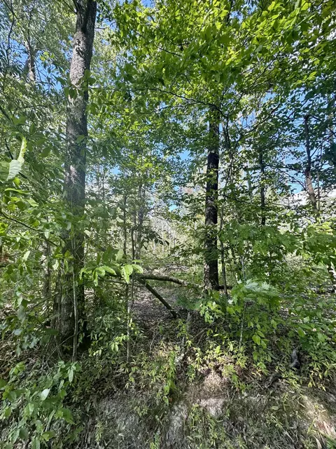 1800 Rice Rd, Morehead, KY 40351