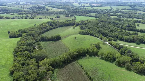849 Soper Rd, Paris, KY 40361 photo 7