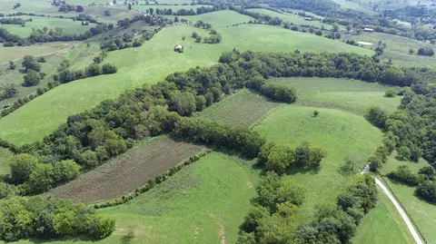 849 Soper Rd, Paris, KY 40361 photo 5