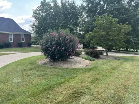 116 Hickory Dr, Morehead, KY 40351 photo 10