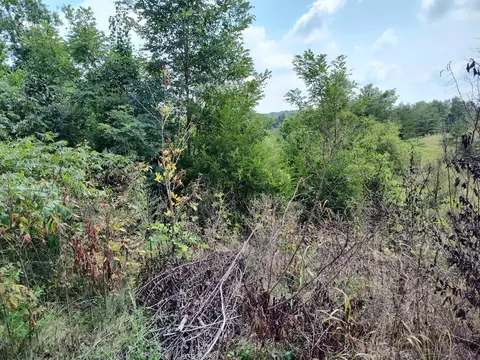 9999 Bethleham Rd, Waco, KY 40385