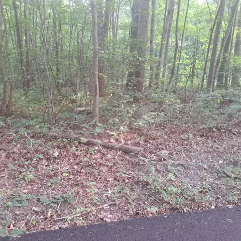 99999 Tiffany Ln, Corbin, KY 40701
