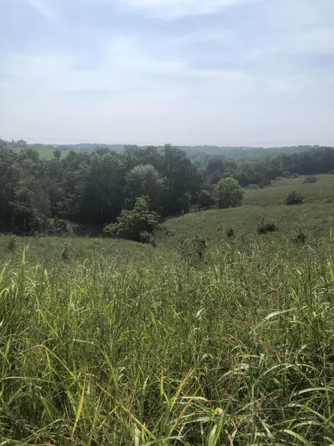 5 Chowning Ln, Bloomfield, KY 40008