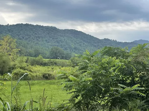 1111 Brices Creek Rd, Flat Lick, KY 40935