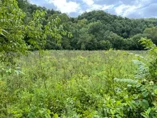 0 George Griffith Rd, Vancleve, KY 41385