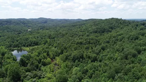 9999 Arkle Rd, Gray, KY 40734 photo 31
