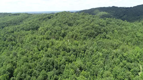 9999 Arkle Rd, Gray, KY 40734 photo 19