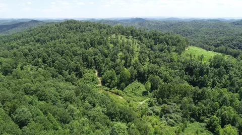 9999 Arkle Rd, Gray, KY 40734 photo 27