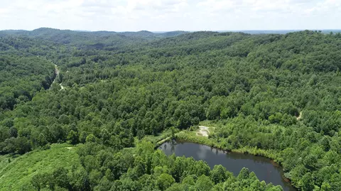 9999 Arkle Rd, Gray, KY 40734 photo 15