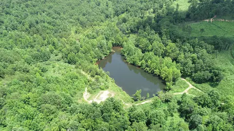 9999 Arkle Rd, Gray, KY 40734 photo 3