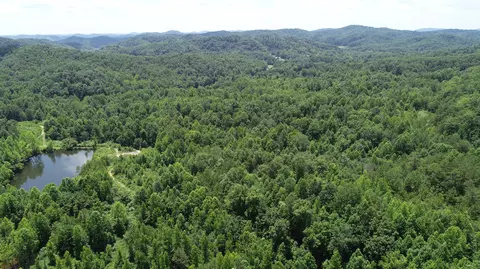 9999 Arkle Rd, Gray, KY 40734 photo 26