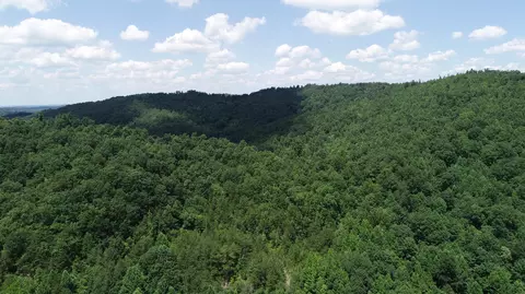 9999 Arkle Rd, Gray, KY 40734 photo 20
