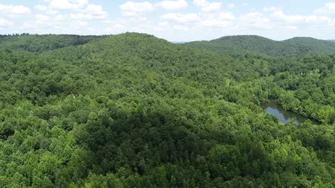9999 Arkle Rd, Gray, KY 40734 photo 35