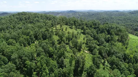 9999 Arkle Rd, Gray, KY 40734 photo 29