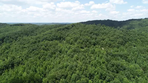 9999 Arkle Rd, Gray, KY 40734 photo 34