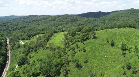 9999 Arkle Rd, Gray, KY 40734 photo 2