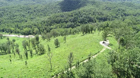 9999 Arkle Rd, Gray, KY 40734 photo 6