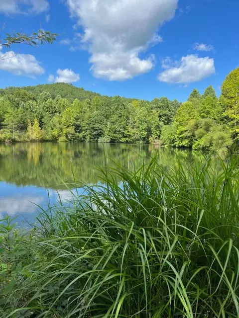 9999 Arkle Rd, Gray, KY 40734 photo 39