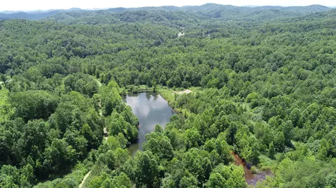 9999 Arkle Rd, Gray, KY 40734 photo 5