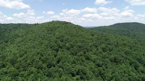 9999 Arkle Rd, Gray, KY 40734 photo 21