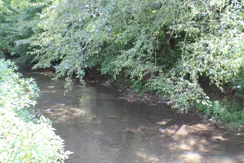 7279 Ky Hwy 66, Arjay, KY 40902 photo 24