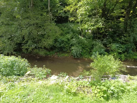 7279 Ky Hwy 66, Arjay, KY 40902 photo 31
