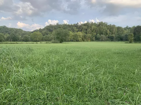 3599 Hwy 1470, Strunk, KY 42649 photo 8