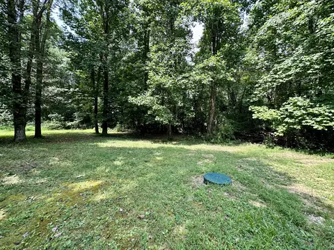 25 Pine Tree Cir, Nancy, KY 42544 photo 20