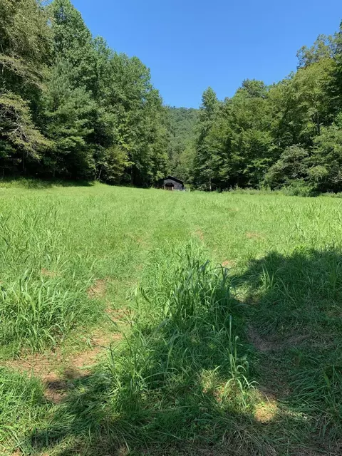 598 Open Fork Rd, David, KY 41616 photo 18