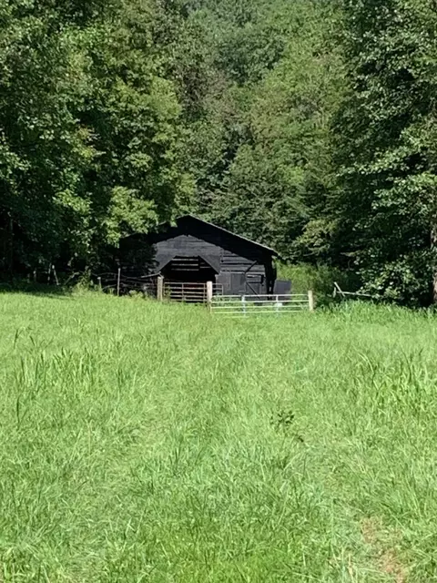 598 Open Fork Rd, David, KY 41616 photo 19
