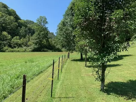 598 Open Fork Rd, David, KY 41616 photo 21