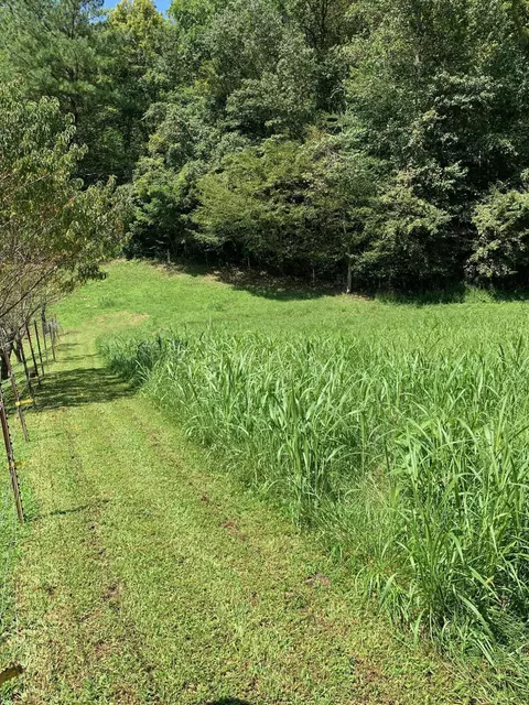 598 Open Fork Rd, David, KY 41616 photo 17