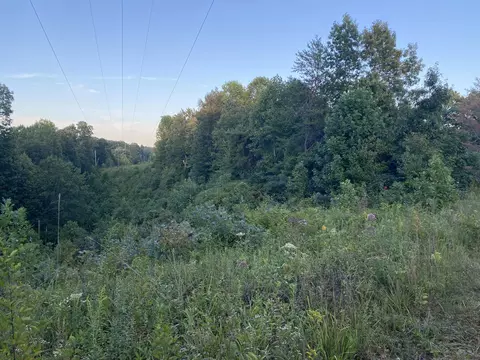 0 Red Bird Rd, Williamsburg, KY 40769