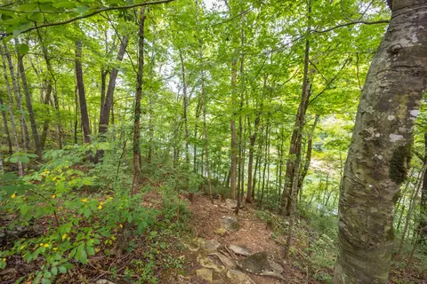 2014 Keeney Rd, Nancy, KY 42544 photo 44