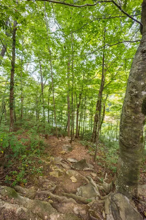 2014 Keeney Rd, Nancy, KY 42544 photo 45