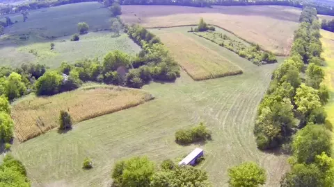 950 Maddox Onan Rd, Pleasureville, KY 40057