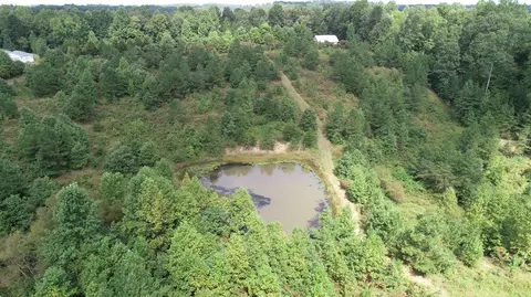 798 Ralley Rd, Keavy, KY 40737 photo 50